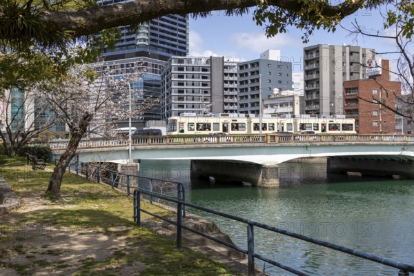 Tourist attraction, sight, blossoming cherry trees, sakura on the promenade along the Enko River, Enkobashicho, Minami Ward, Hiroshima, Japan