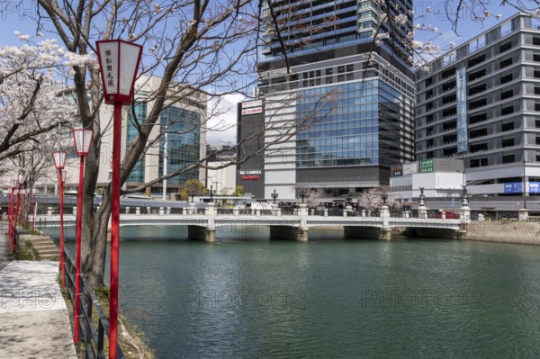 Tourist attraction, landmark, lanterns and blossoming cherry trees on the promenade, Sakura, modern architecture and historic Enkobashi stone bridge over the Enko River, Enko-bashi Bridge, built in 1926, restored in 2016 for the 70th anniversary of the atomic bombing, Enkobashicho, Minami Ward, Hiroshima, Japan