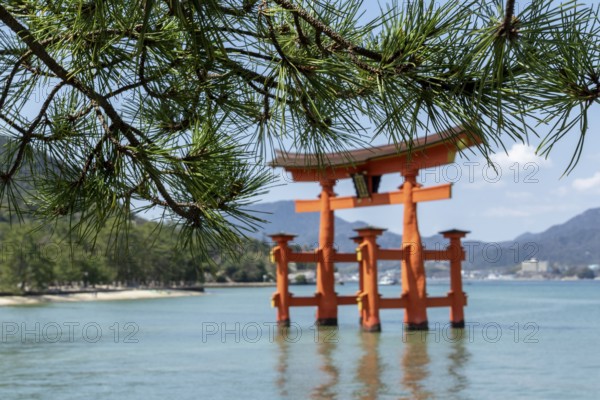 Torii in the water, sight, tourist attraction, UNESCO World Heritage Site, Itsukushima Shrine, Miyajima Island, Hatsukaichi, Hiroshima Prefecture, Japan