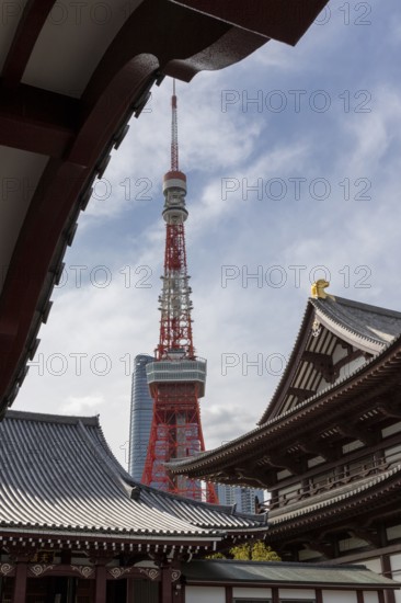 Landmark, tourist attraction, architecture, curved roofs, Zojoji Hall, Zojo-ji Temple, Busshist Temple and Tokyo Tower, Minato City, Tokyo, Japan