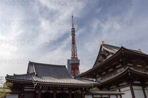 Landmark, tourist attraction, architecture, curved roofs, Zojoji Hall, Zojo-ji Temple, Busshist Temple and Tokyo Tower, Minato City, Tokyo, Japan