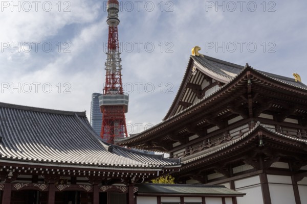 Landmark, tourist attraction, architecture, curved roofs, Zojoji Hall, Zojo-ji Temple, Busshist Temple and Tokyo Tower, Minato City, Tokyo, Japan