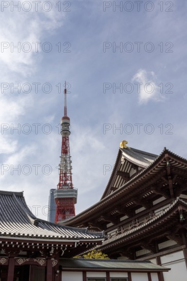 Landmark, tourist attraction, architecture, curved roofs, Zojoji Hall, Zojo-ji Temple, Busshist Temple and Tokyo Tower, Minato City, Tokyo, Japan