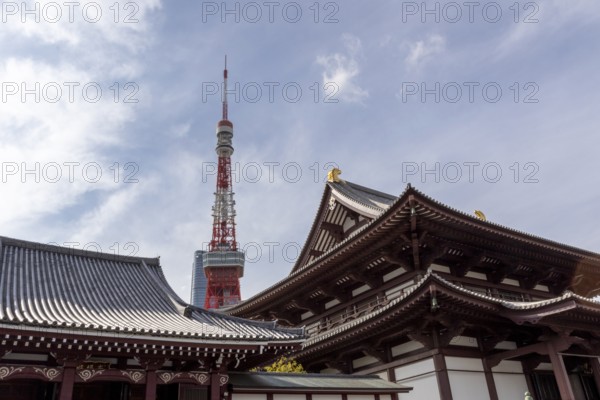 Landmark, tourist attraction, architecture, curved roofs, Zojoji Hall, Zojo-ji Temple, Busshist Temple and Tokyo Tower, Minato City, Tokyo, Japan