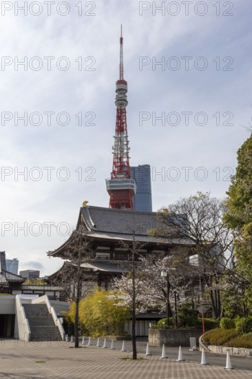 Sightseeing, tourist attraction, Zojoji Hall, Zojo-ji Temple, Busshist Temple and Tokyo Tower, Minato City, Tokyo, Japan
