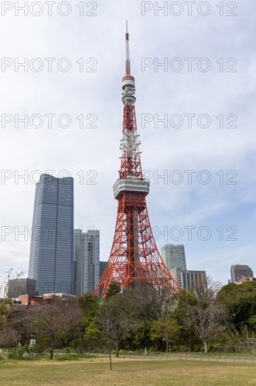Landmark, tourist attraction, Tokyo Tower and Shiba Park, Shibakoen, public park in Minato City district, Tokyo, Japan