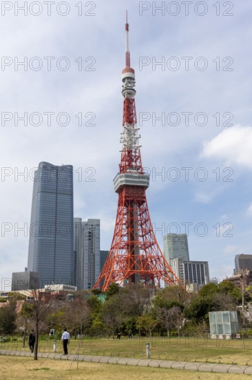 Landmark, tourist attraction, Tokyo Tower and walkers in Shiba Park, Shibakoen, public park in Minato City district, Tokyo, Japan