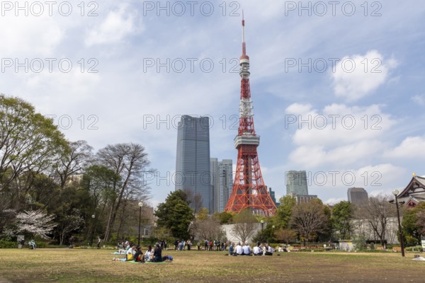 Sightseeing, tourist attraction, Tokyo Tower and young Japanese people in Shiba Park, Shibakoen, public park in Minato City district, Tokyo, Japan