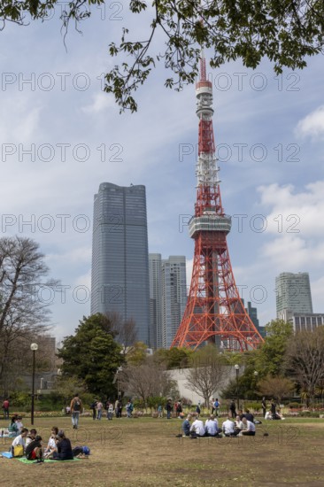 Sightseeing, tourist attraction, Tokyo Tower and young Japanese people in Shiba Park, Shibakoen, public park in Minato City district, Tokyo, Japan