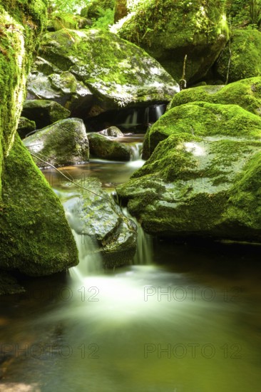 Small waterfall flowing over moss-covered rocks in a green forest, Stillensteinklamm Upper Austria Austria