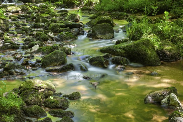 Small stream with flowing water and mossy stones in the forest, Stillensteinklamm Upper Austria Austria