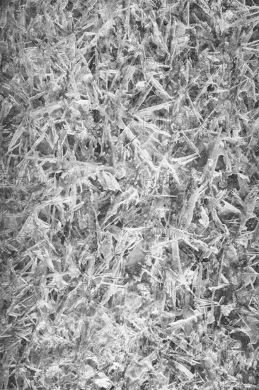 Close-up of ice crystals in an abstract, structured form, Kamptal Waldviertel Austria