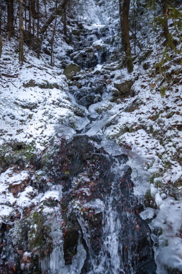 Frozen waterfall in the forest with snow and ice structures, Kamptal Waldviertel Austria