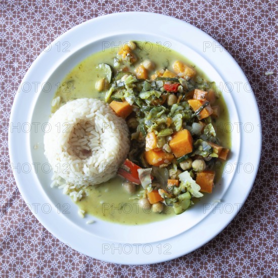 Rice served with vegetable curry in a green sauce on a white plate, Lower Austria Austria