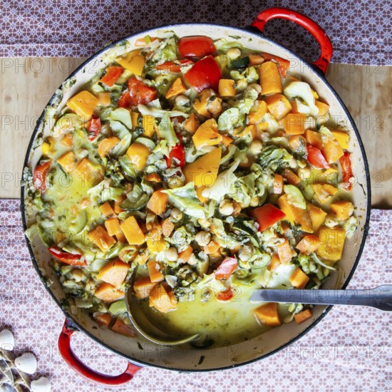 A colourful vegetable stew with various ingredients served in a large pot, Lower Austria Austria