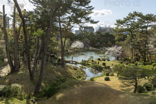 View over the Shukkei-en with blossoming cherry trees, Sakura, and Takuei-chi pond in spring, historical Japanese strolling garden, Japanese garden, green area, tourist attraction, sight, Naka-ku, Hiroshima, Japan