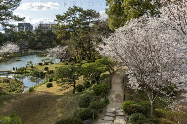 View over the Shukkei-en with blossoming cherry trees, Sakura, and Takuei-chi pond in spring, historical Japanese strolling garden, Japanese garden, green area, tourist attraction, sight, Naka-ku, Hiroshima, Japan