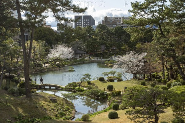 View over the Shukkei-en with blossoming cherry trees, Sakura, and Takuei-chi pond in spring, historical Japanese strolling garden, Japanese garden, green area, tourist attraction, sight, Naka-ku, Hiroshima, Japan