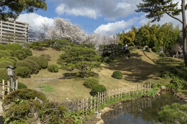 Green plants, cherry trees, sakura, spring in Shukkei-en, historical Japanese garden, Japanese garden, green area, tourist attraction, sight, Naka-ku, Hiroshima, Japan