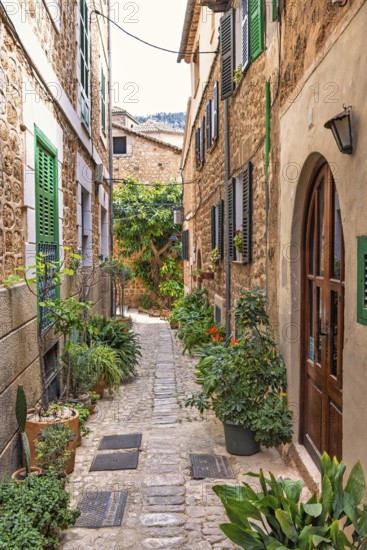 Idyllic narrow cobblestone alley with lush green plants and flowers at the entrance to a residential building, Fornalutx, Mallorca, Spain
