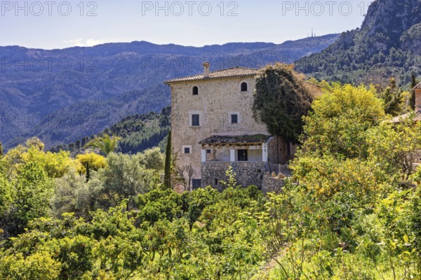 Old stone house in an fruit orchard with lush foliage in a mountainous area, Mallorca, Spain