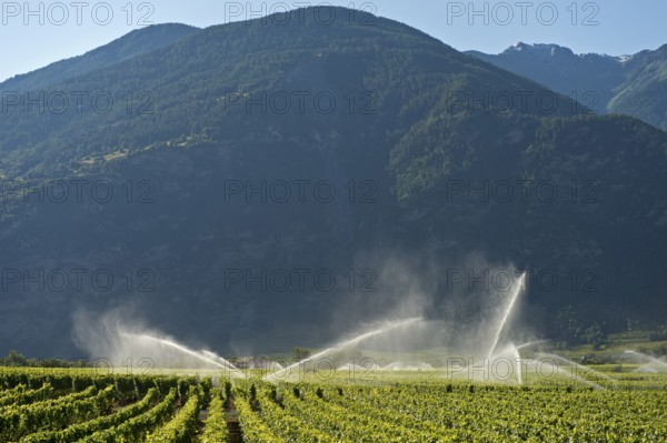 Irrigation cannons irrigate vineyards in the Rhone Valley, Chamoson, Valais, Switzerland