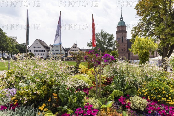 Floral decorations on the market square in Freudenstadt in the Black Forest, the largest built-up market square in Germany. The 219 by 216 metre square is the town's landmark. Freudenstadt, Baden-Württemberg, Germany