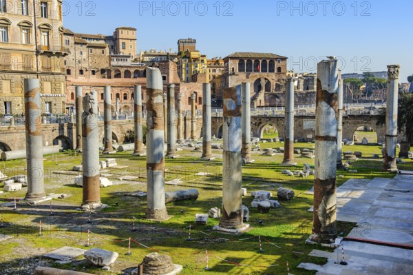 View of excavated columns and partially restored floor of Basilica Ulpia from Roman antiquity, in the background Trajan's Forum imperial forums, Rome, Lazio, Italy