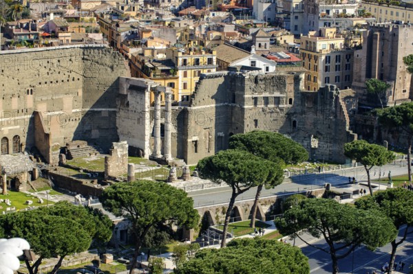 View from elevated viewpoint on Augustus Forum Forum of Roman Emperor Augustus part of Imperial Forums, Rome, Lazio Italy