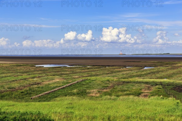 Salt marshes, lighthouse Westerheversand on the horizon, Cumulus, Westerhever, Eiderstedt, Nordfriesland, Schleswig-Holstein, Germany