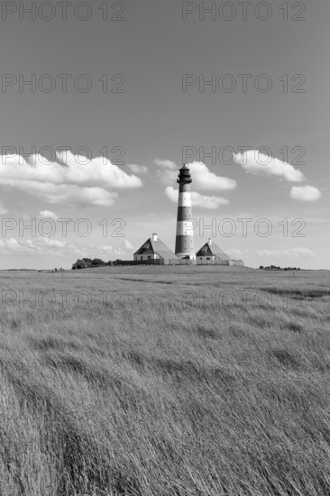 Lighthouse Westerheversand with two houses on a terp, Cumulus, monochrome, Westerhever, Eiderstedt, North Frisia, Schleswig-Holstein, Germany