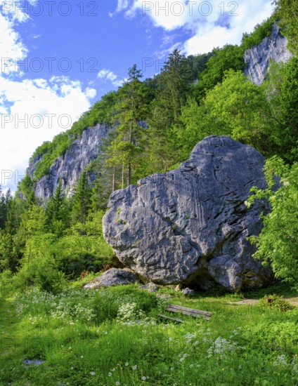 Rocks, climbing rocks, Kanzianiberg, Finkenstein am Faaker See, Carinthia, Austria