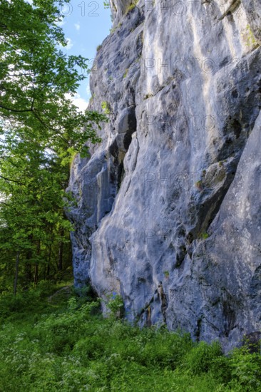 Rocks, climbing rocks, Kanzianiberg, Finkenstein am Faaker See, Carinthia, Austria