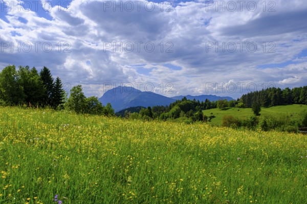 Dobratsch from the castle ruins of Finkenstein, Burgarena Finkenstein, Altfinkenstein, Finkenstein am Faaker See, Carinthia, Austria