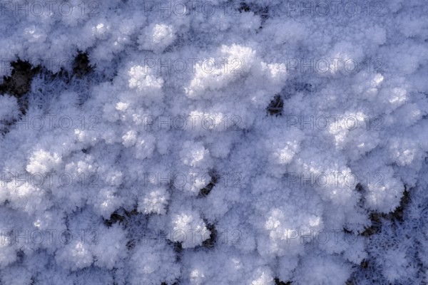 Snow crystals in winter on the young Isar between Wallgau and Vorderriss, Tölzer Land, Upper Bavaria, Bavaria, Germany