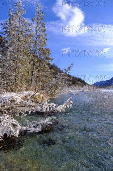 Winter on the young Isar between Wallgau and Vorderriss, Tölzer Land, Upper Bavaria, Bavaria, Germany