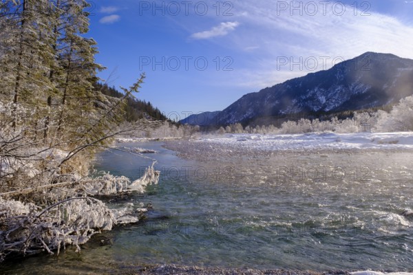 Winter on the young Isar between Wallgau and Vorderriss, Tölzer Land, Upper Bavaria, Bavaria, Germany
