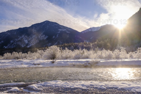 Sunrise in the forest on the young Isar in winter between Wallgau and Vorderriss, Tölzer Land, Upper Bavaria, Bavaria, Germany