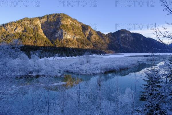 Isar in the inlet at Sylvensteinspeichersee, Tölzer Land, Upper Bavaria, Bavaria, Germany