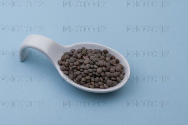 White ceramic spoon with lentils and blue bottom
