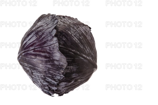 Purple cabbage or red cabbage isolated on white background top view