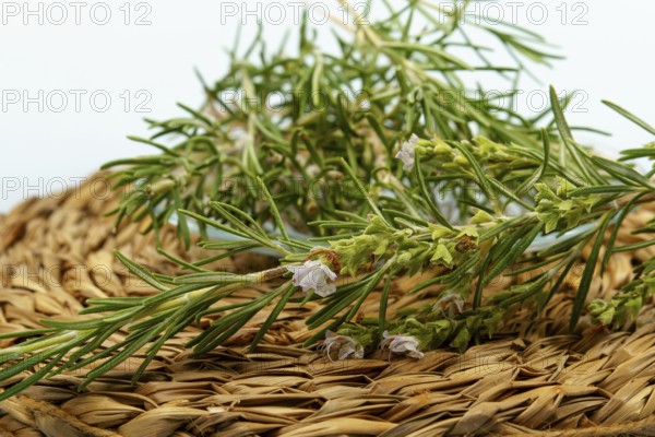Sprigs of fresh rosemary with delicate white flowers lie on a woven mat, ready for culinary or aromatherapy use