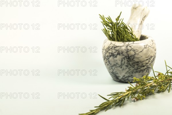 Fresh rosemary sprigs are placed in a marble mortar and pestle, ready for grinding and use in culinary or medicinal applications