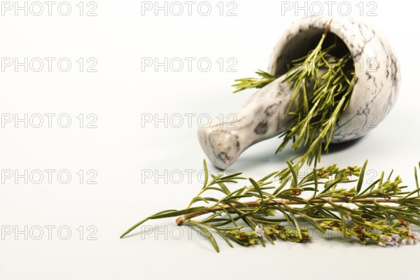 Fresh rosemary herb sprigs with flowers spilling from a marble mortar and pestle, ready for grinding and cooking