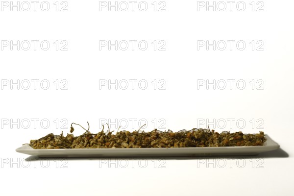 Dried chamomile on a white plate isolated on a white background with copy space