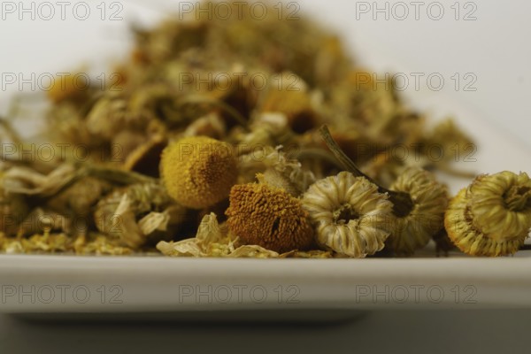 Dried chamomile on a white plate isolated on a white background with copy space