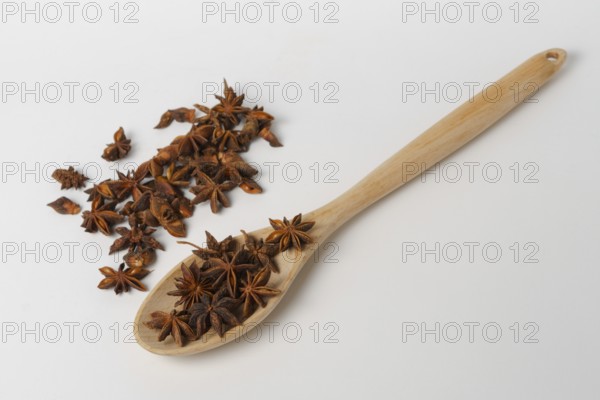 Close-up of star anise illicium verum in a wooden spoon isolated on white background and copy space