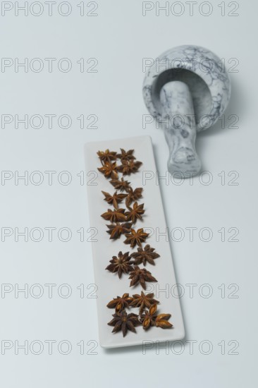 Close-up of star anise illicium verum in a white dish with a marble mortar isolated on white background and copy space