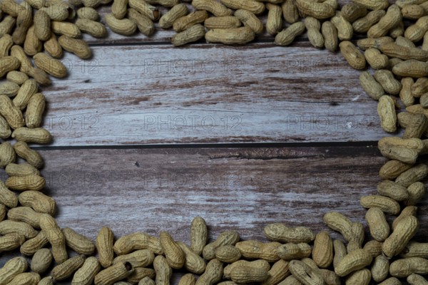 Group of peanuts arranged in a circle with copy space in the center