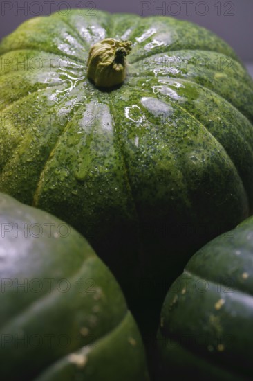 Green pumpkins cut in half on wood and white background